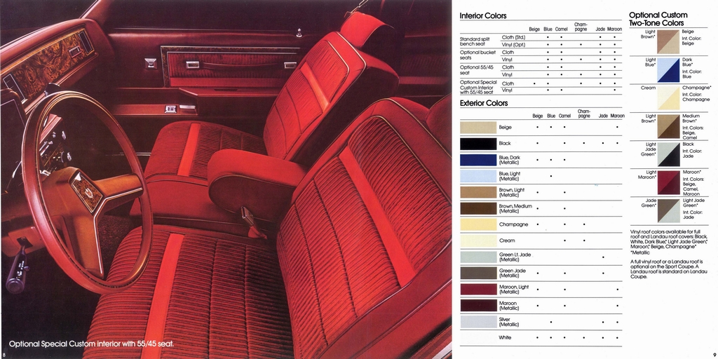 n_1981 Chevrolet Monte Carlo-08-09.jpg